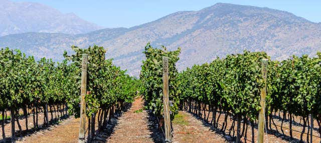 Excursion à Isla de Maipo pour les croisiéristes