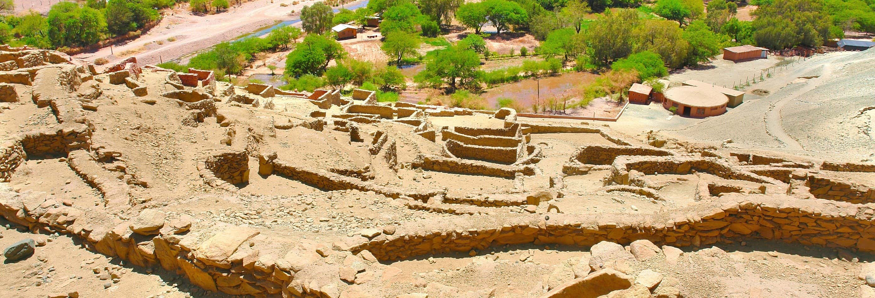 Escursione all'Aldea de Tulor e Pucará de Quitor