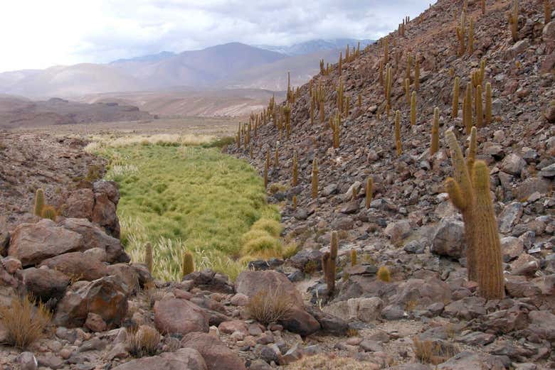 Imagen 7