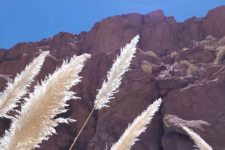 Puritama River Gorge Hiking Tour