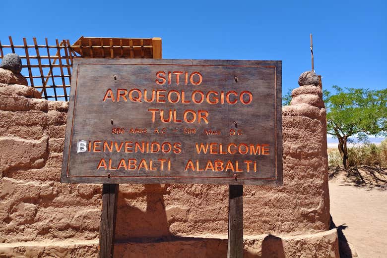 Imagen 6