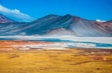 Piedras Rojas, Atacama Salt Flats & Altiplano Lakes Trip