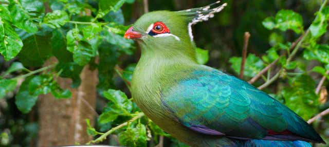 Escursione al Parque Tricao e alla Viña Undurraga