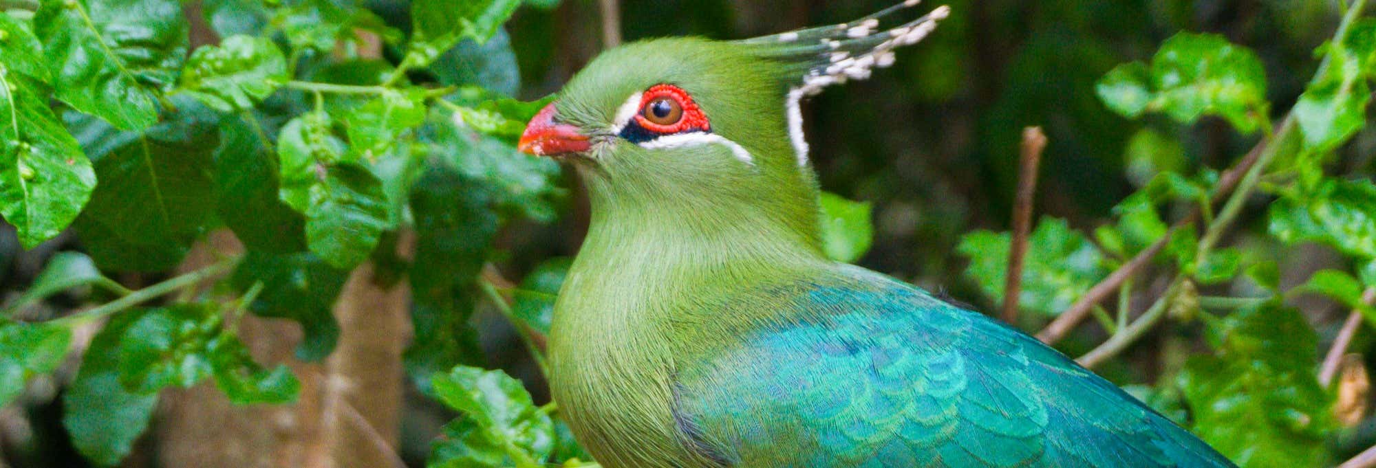 Escursione al Parque Tricao e alla Viña Undurraga