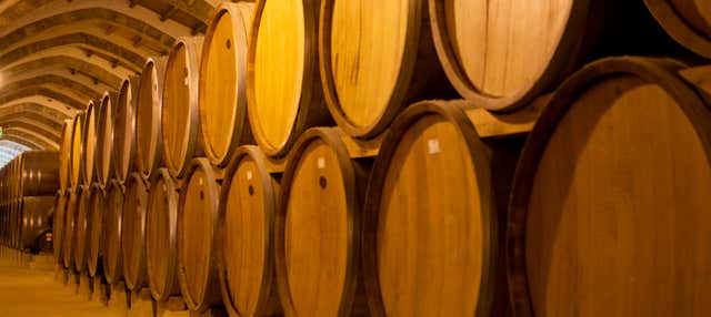 Escursione a Viña Concha y Toro