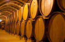 Concha y Toro Winery Tour