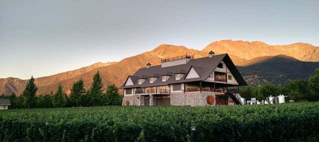 Escursione ai vigneti Alyan al tramonto