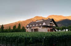 Alyan Winery Sunset Tour