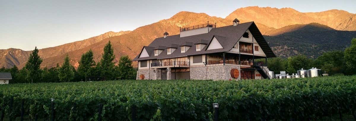 Escursione ai vigneti Alyan al tramonto