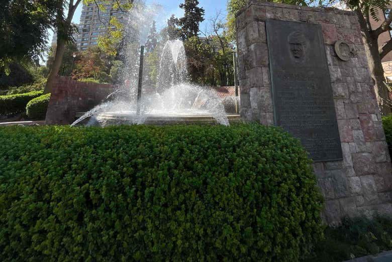 Imagen 7