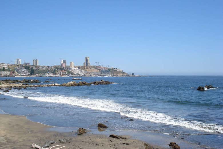 Imagen 6