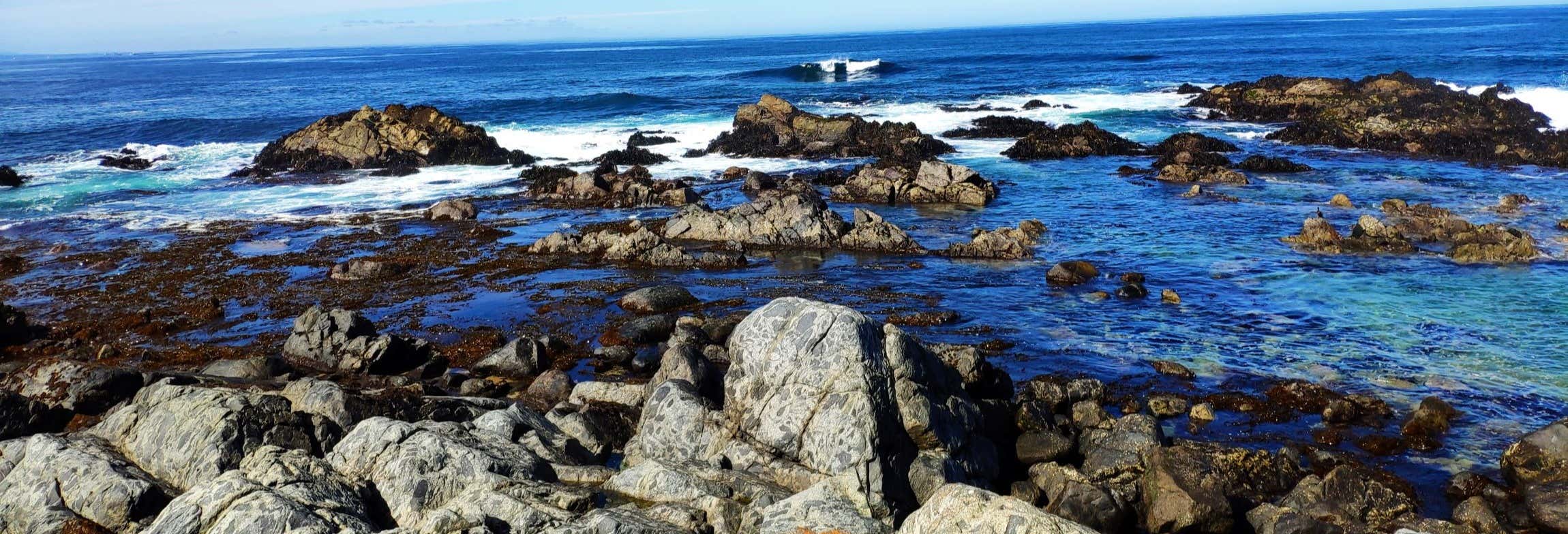 Escursione a Isla Negra, Pomaire e Viña Undurraga