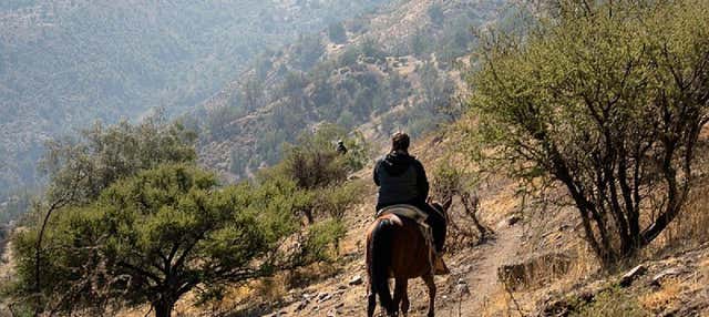 Passeggiata a cavallo sul colle La Dehesa + Degustazione di vino
