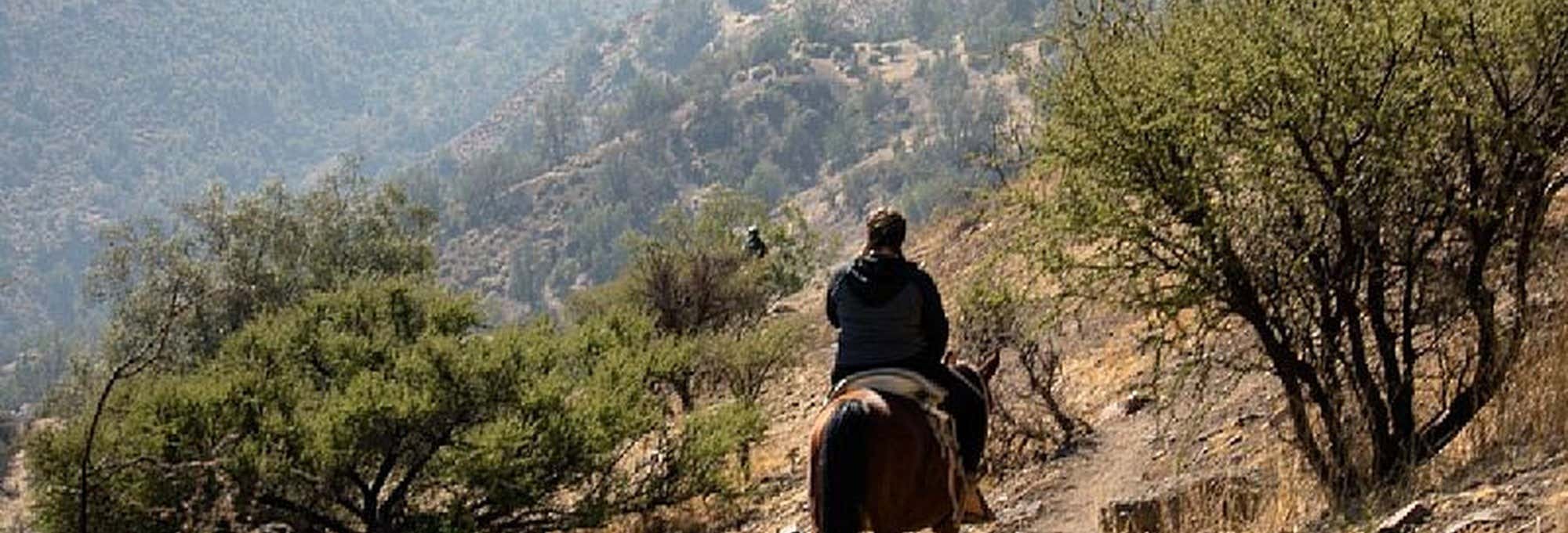 Passeggiata a cavallo sul colle La Dehesa + Degustazione di vino