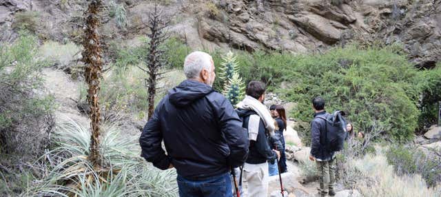 Trekking privato alla Cascada de las Ánimas