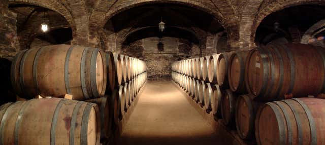 Visita alla cantina Santa Rita