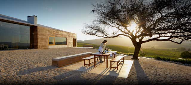 Visita alla cantina Casas del Bosque