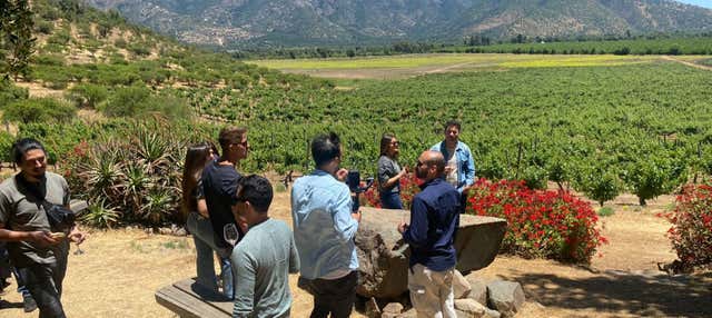 Visita alla cantina Viña Tres Palacios