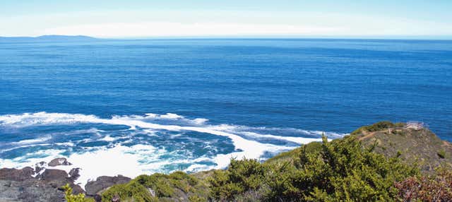 Escursione a Punta Curiñanco