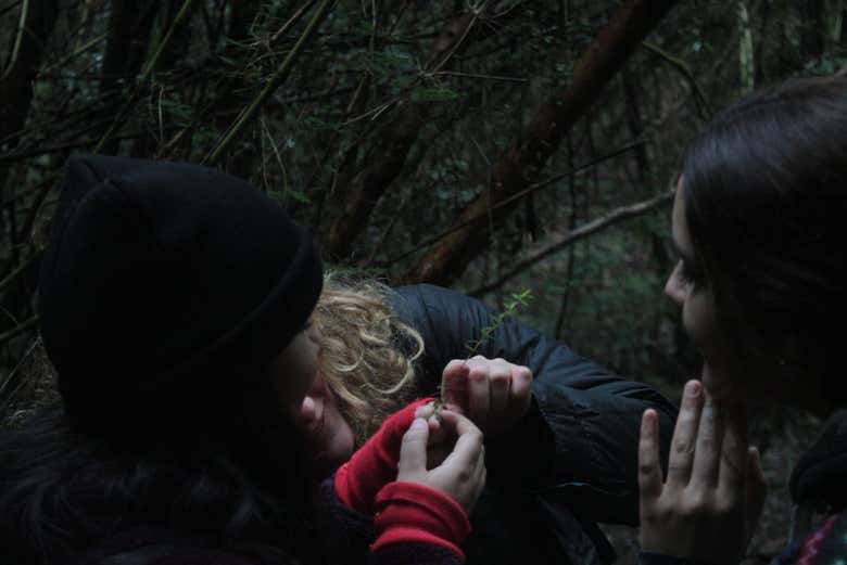 Imagen 8