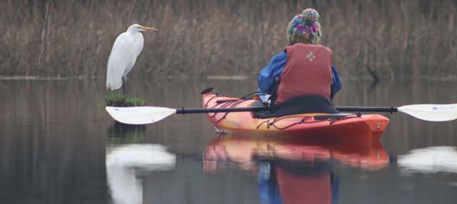 Tour in kayak sul fiume Valdivia