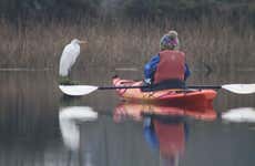 Kayaing Tour in The Valdivia River