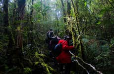 Senderos del Bosque Ecological Reserve Tour