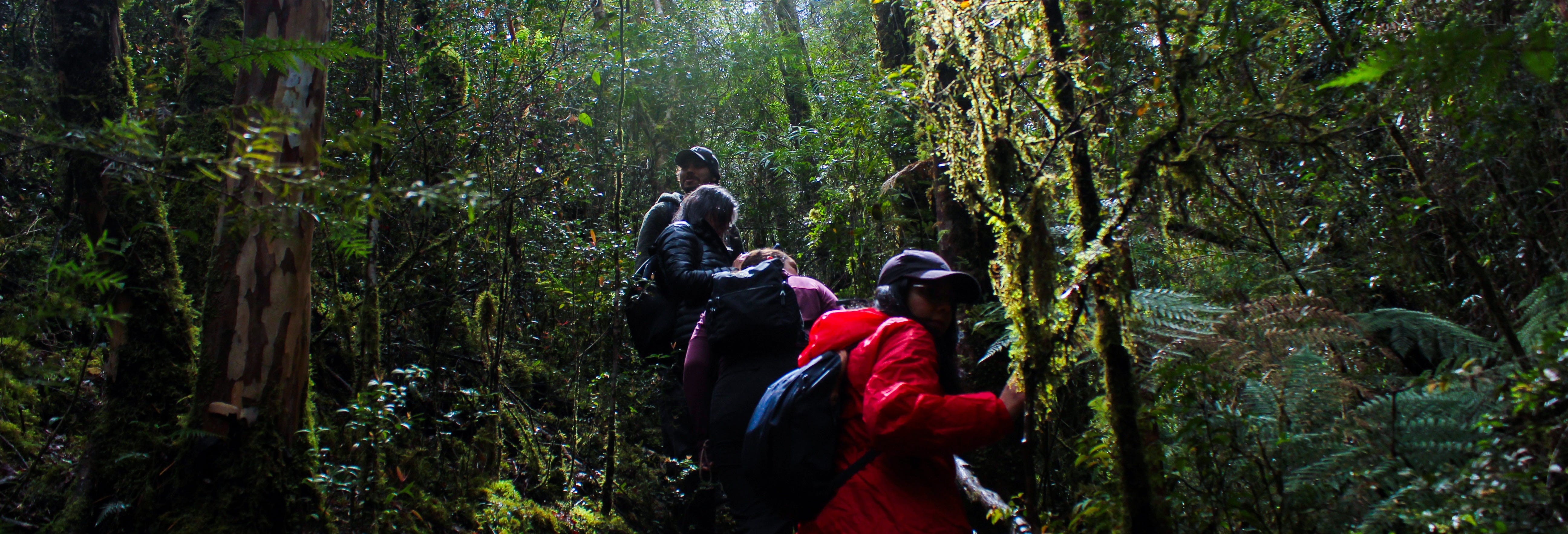 Senderos del Bosque Ecological Reserve Tour