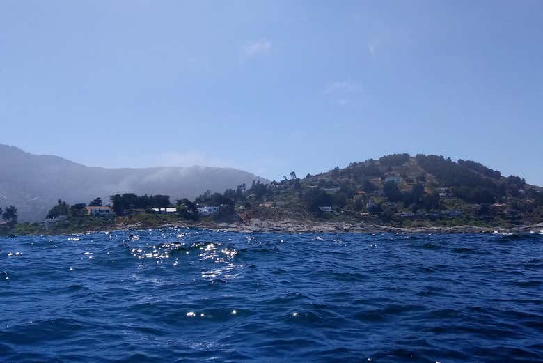 Imagen 4