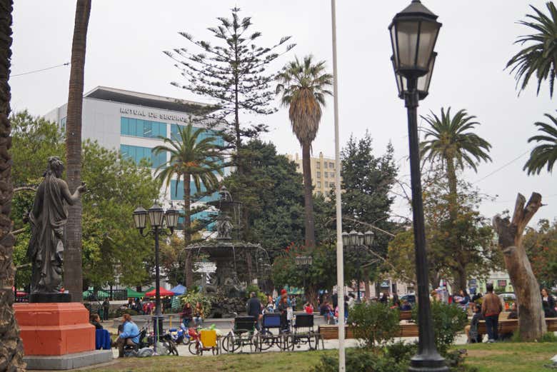 Imagen 8