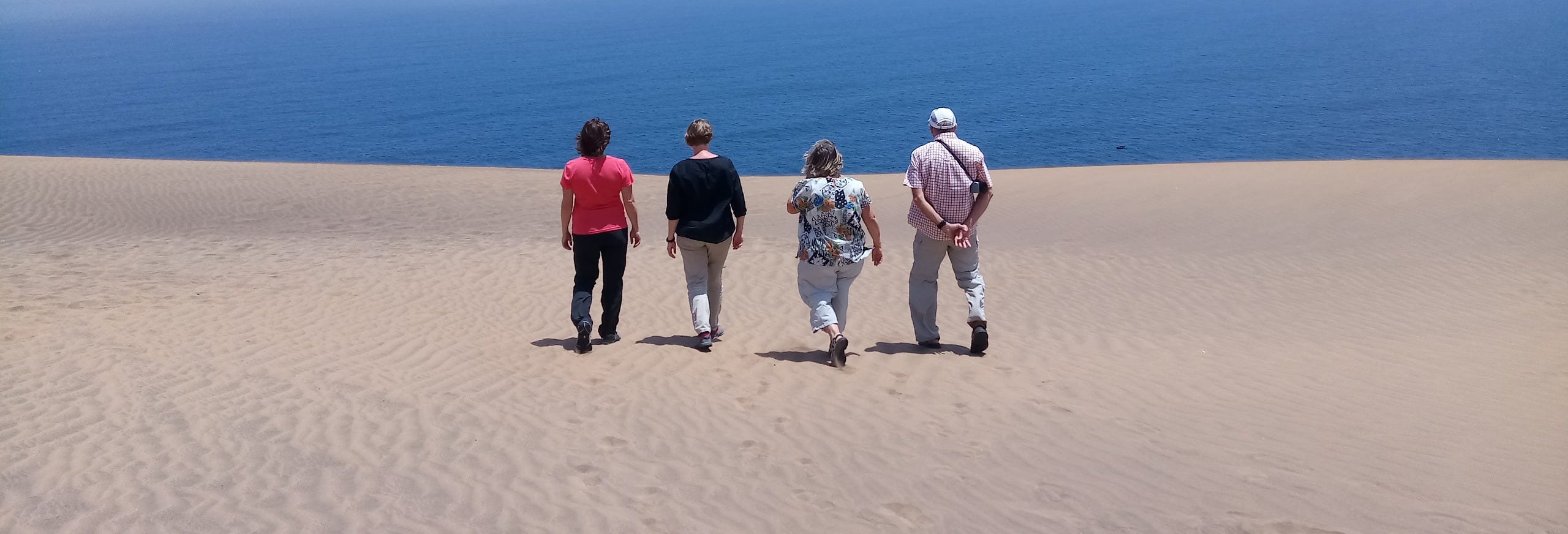 Concón Surfing Lesson & Dunes Hike