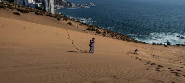 Sandboarding sulle dune di Concón
