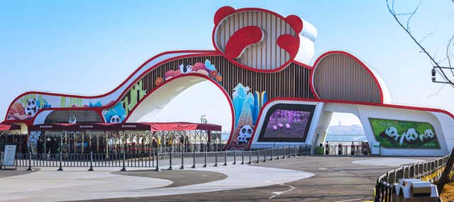 Biglietti per la Chengdu Giant Panda Base