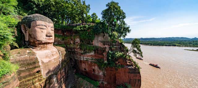 Escursione privata al Grande Buddha di Leshan + Riserva dei Panda