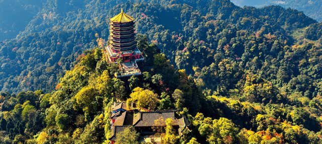 Escursione privata al monte Qingcheng e Dujiangyan