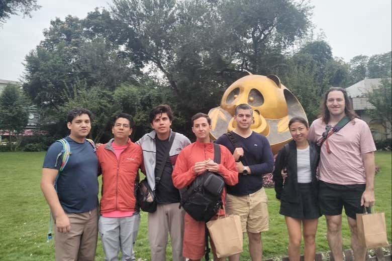 Imagen 5