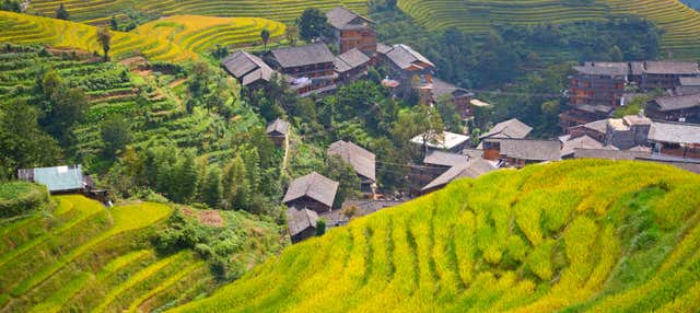 Tour privato delle terrazze di riso