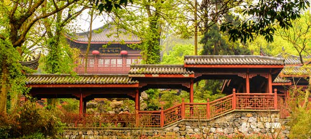 Escursione privata al Tempio di LingYin e Lago dell'ovest