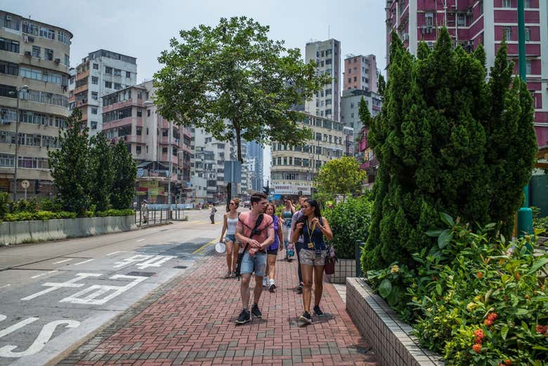 Imagen 6
