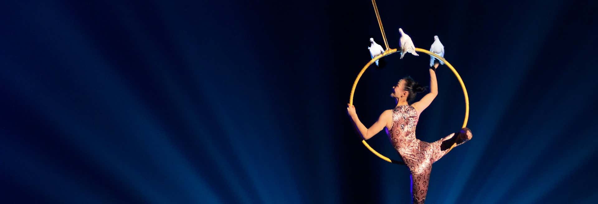 Show acrobático ERA: The Journey of Time 2