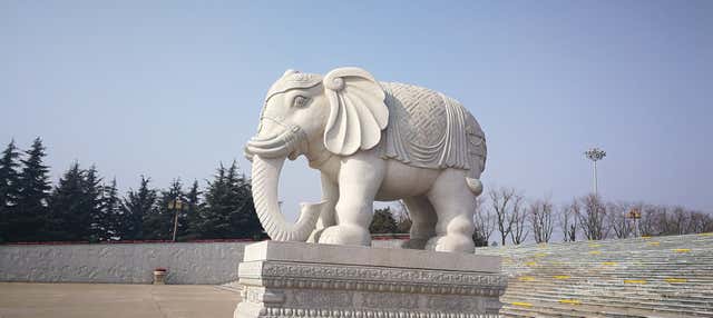 Escursione privata al Tempio Famen e al Mausoleo di Qianling