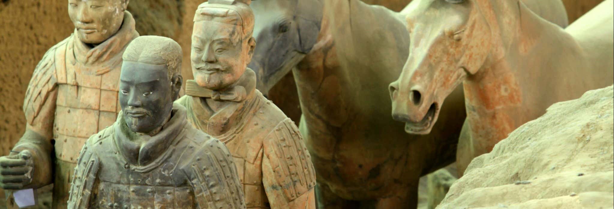 Terracotta Army & Xi'an City Wall Private Tour