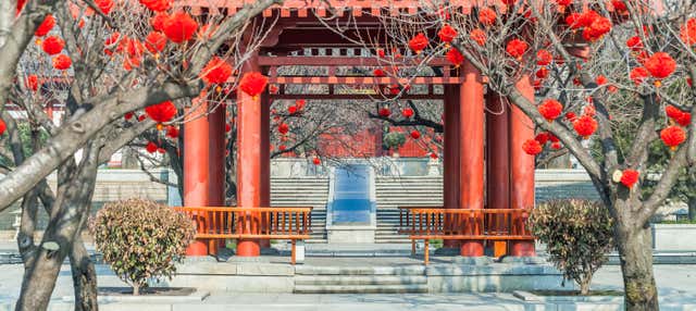 Tour privato di Xi'an