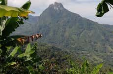 Excursão a Guática e Quinchía