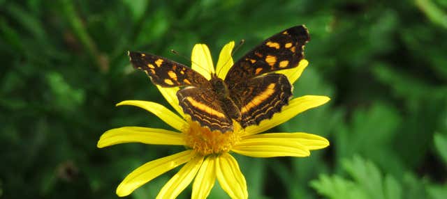 Escursione al Giardino Botanico del Quindío