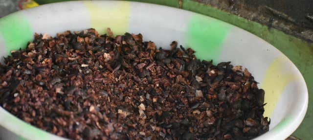 Escursione a Marsella