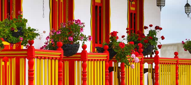 Escursione a Salento e alla Valle del Cocora + Passeggiata a cavallo