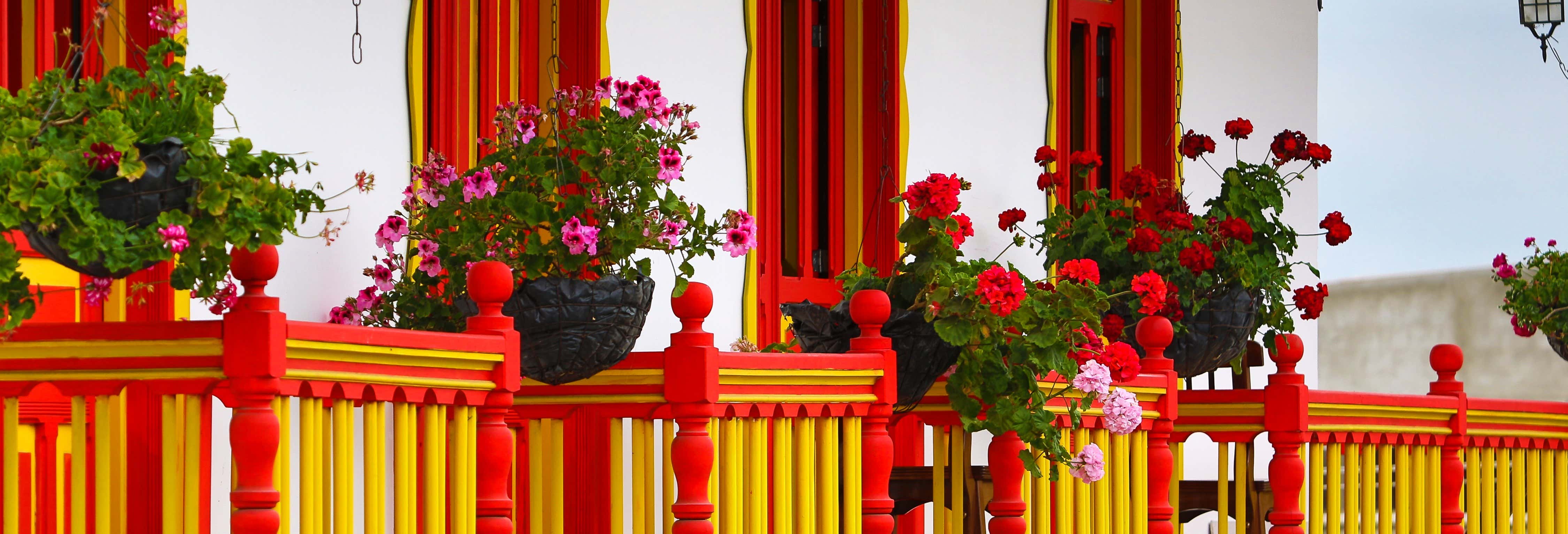 Escursione a Salento e alla Valle del Cocora + Passeggiata a cavallo