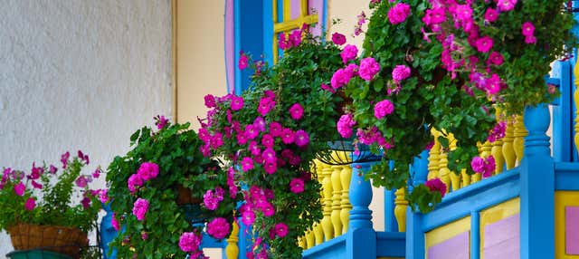 Escursione a Filandia, Salento e Valle de Cocora