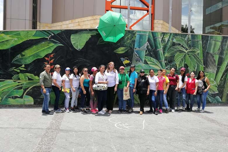 Imagen 5